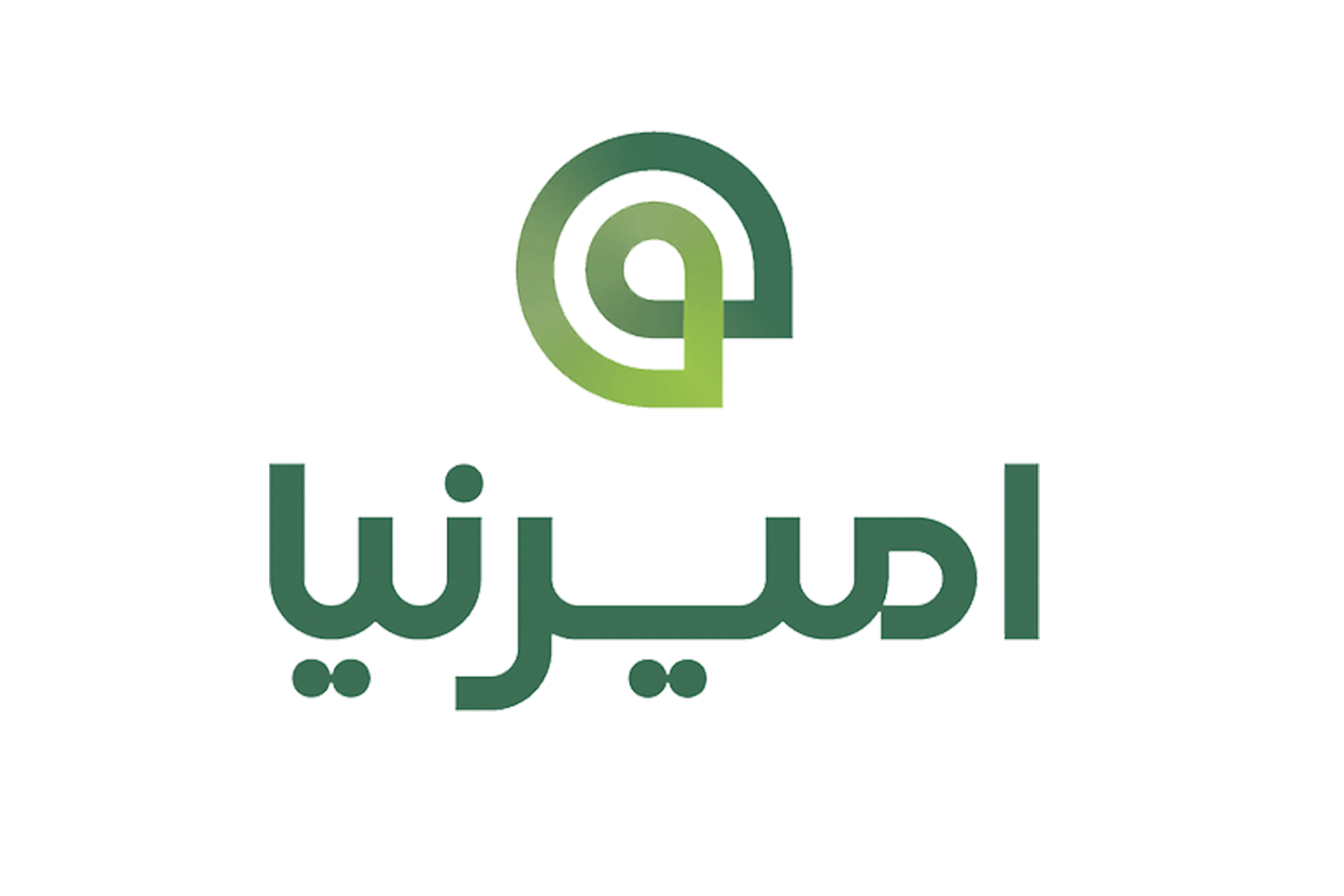 امیرنیا
