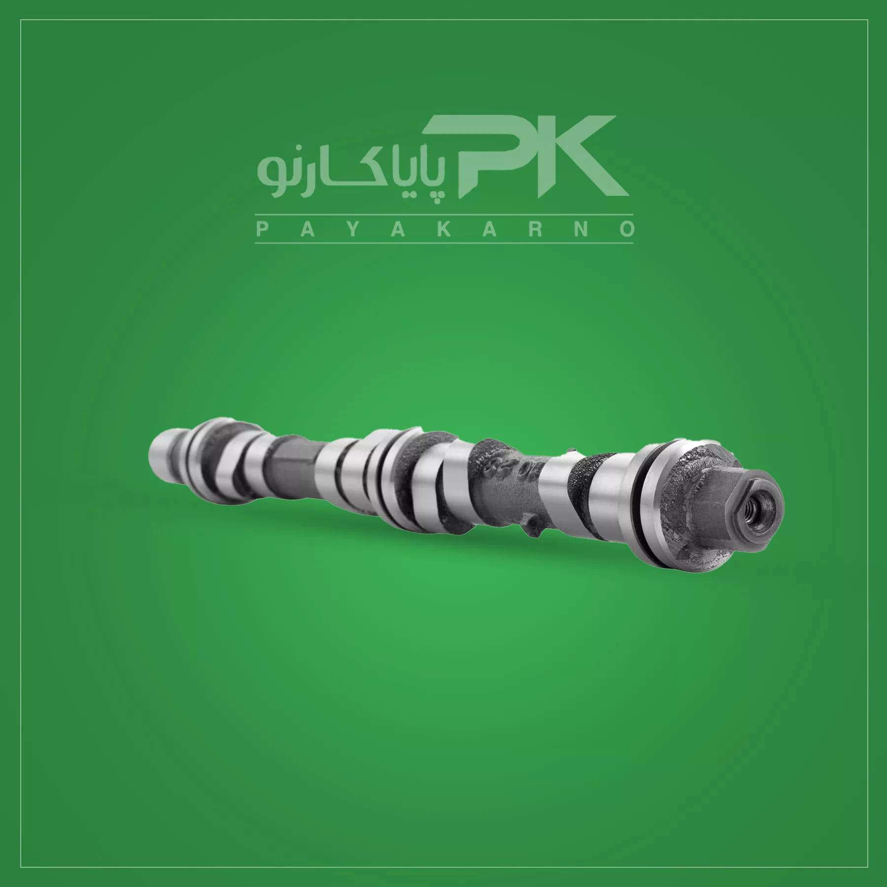 پایا کارنو